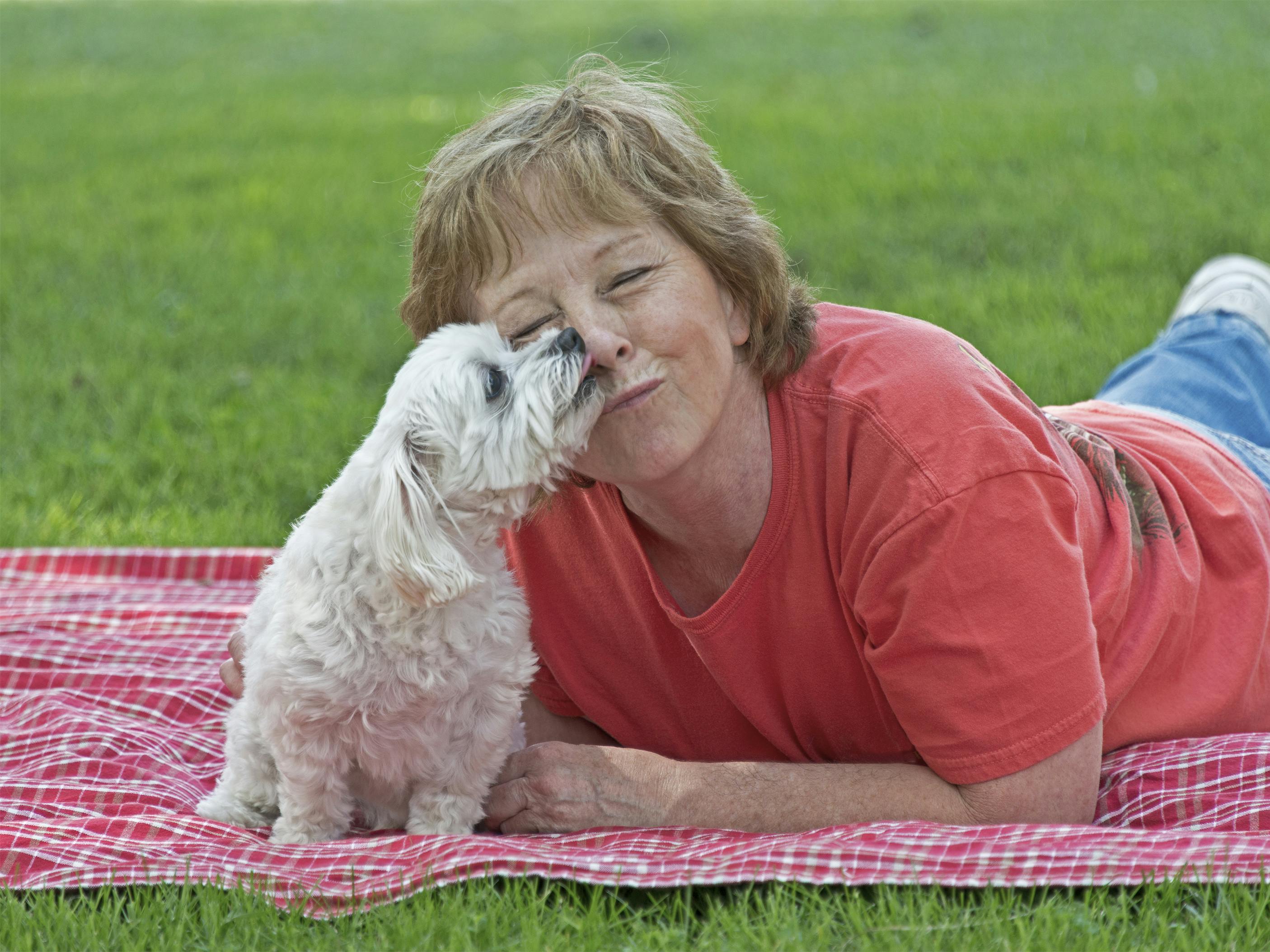 Kvinde ligger på græsset med en hundehvalp. Hun er ikke ensom længere