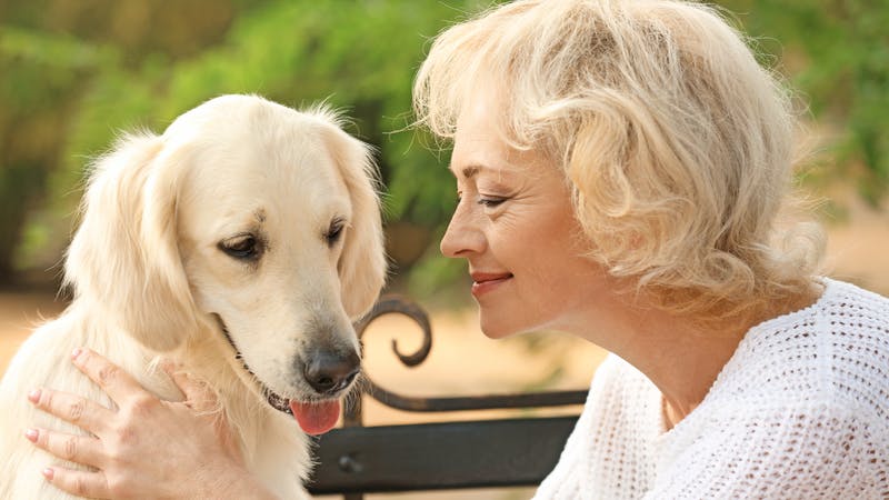 Dame med hund - kærlighed til hunden holder ældre friske