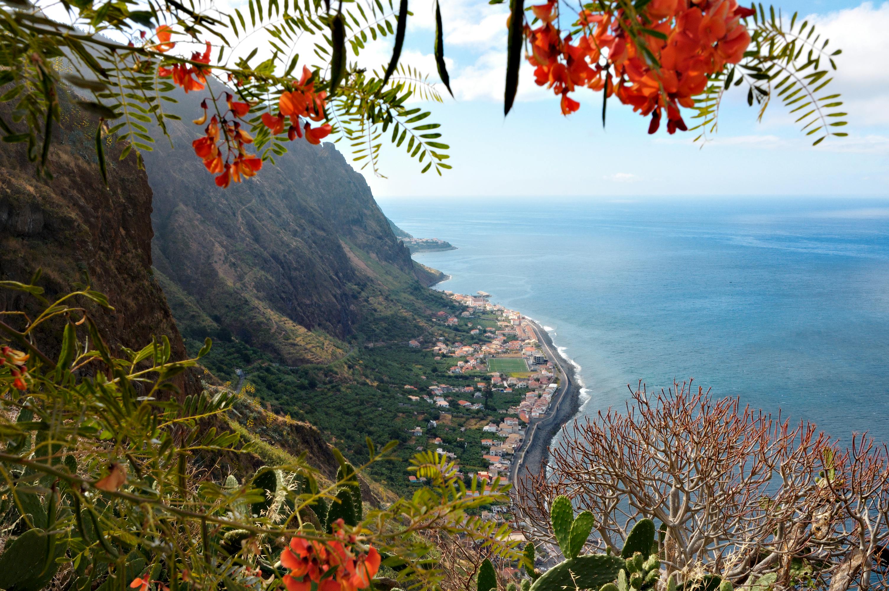 Madeira i blomst