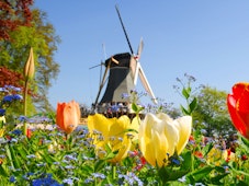 Oplev foråret springe ud i fuldt flor, når du rejser til Holland i april og maj