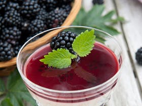 brombær-panna cotta