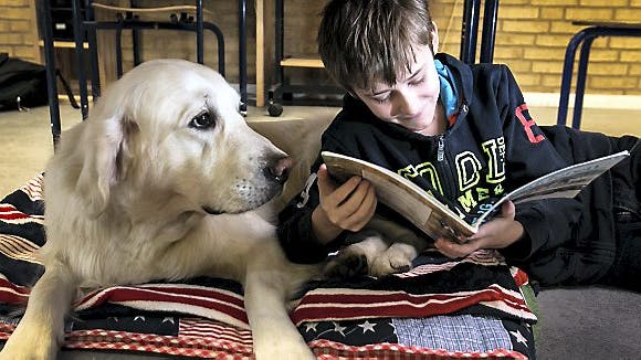 12-årige Patrick har fået meget mere ud af undervisningen, siden skolehunden Thomas begyndte som "støttelærer"